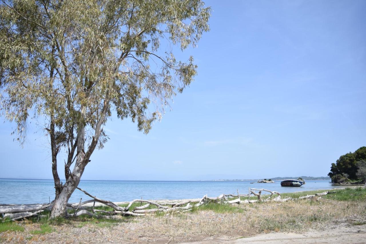 Corfu Seaview Maisonette - Sopra Il Mare Petrití 外观 照片